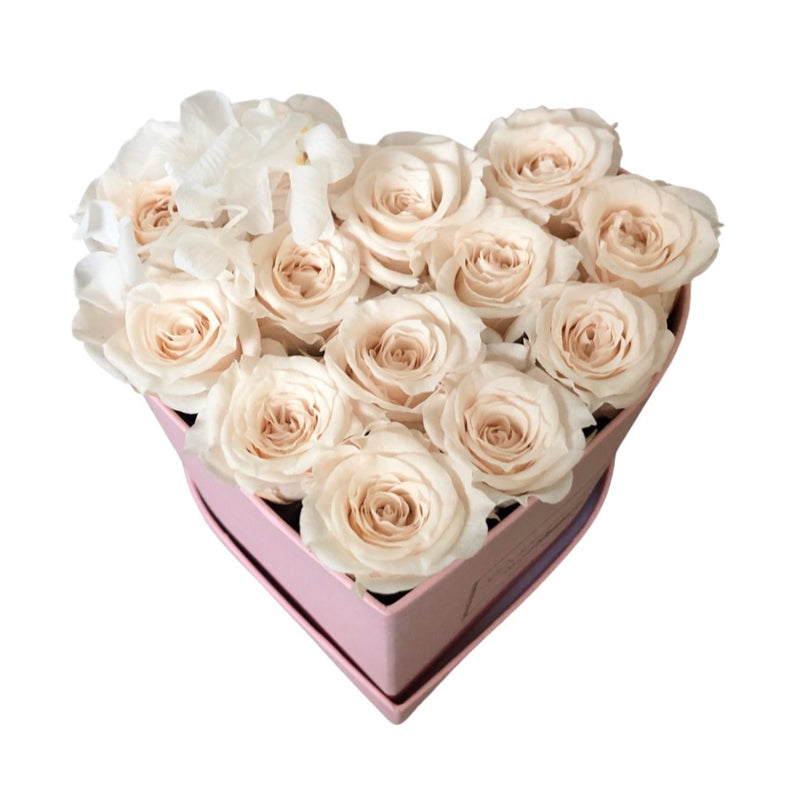 Infinity Mini Heart Special (10+ COLORS)