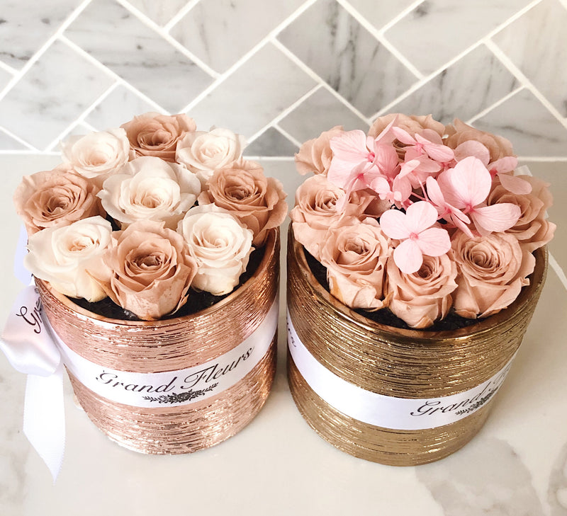 Blush and Nude Mini Fleurs