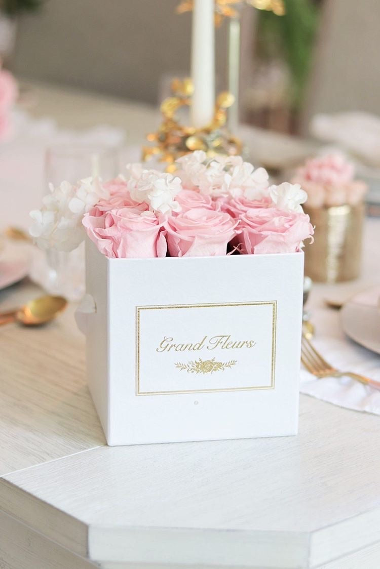 Infinity Cloud 9 – Grand Fleurs