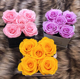 Infinity Deluxe Large Fleurs (15+ colors)