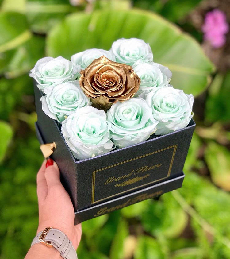 Infinity Cloud 9 – Grand Fleurs