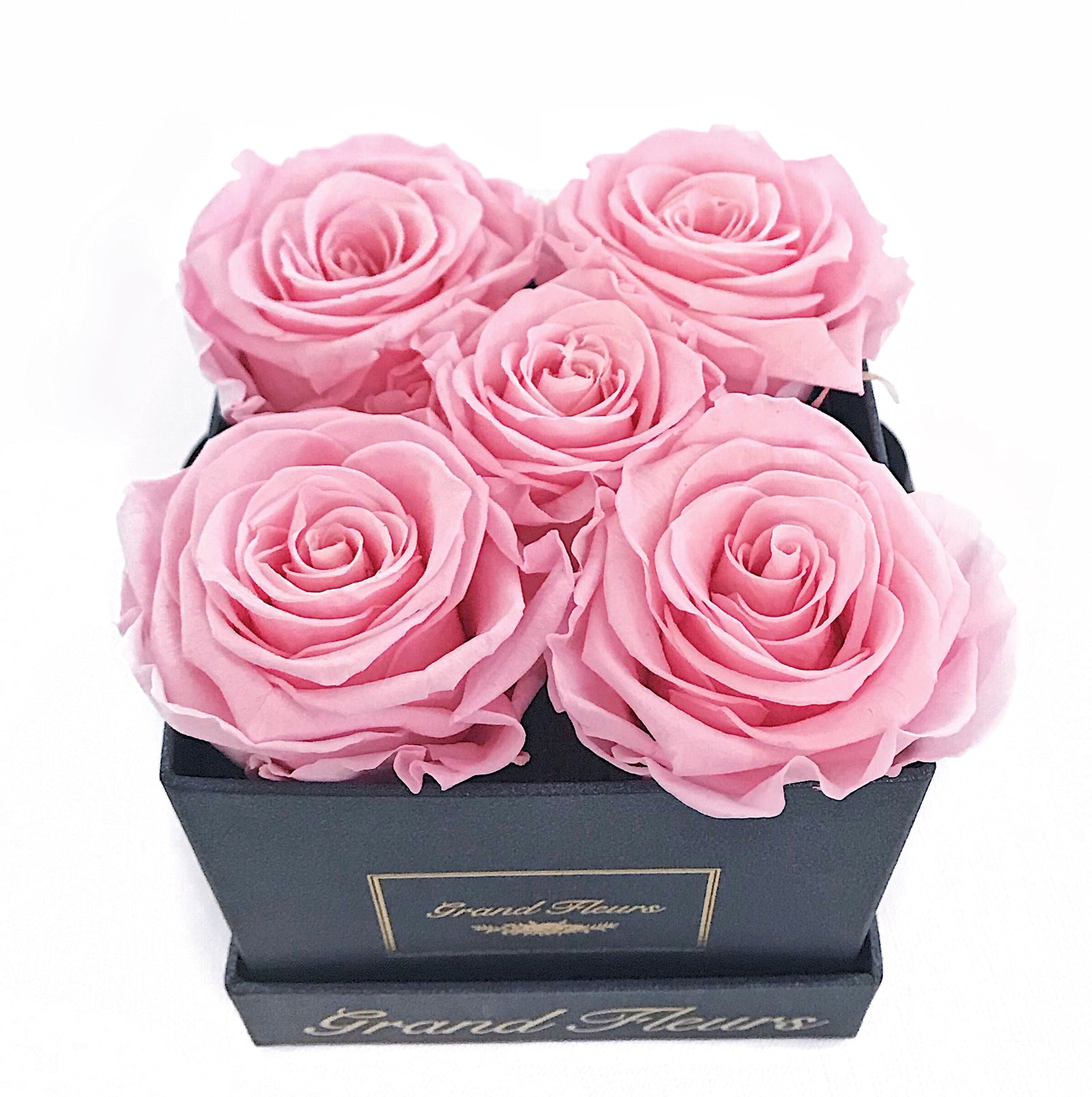 Infinity Deluxe Large Fleurs (15+ colors) – Grand Fleurs