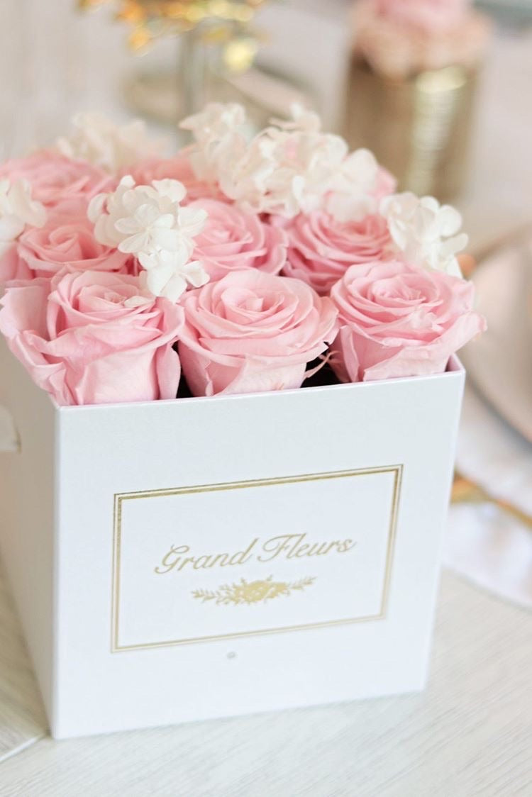 Infinity Cloud 9 – Grand Fleurs