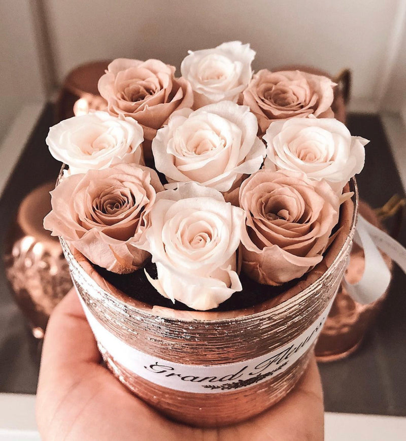 Blush and Nude Mini Fleurs