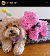 Infinity Fleur Puppy (5 colors)
