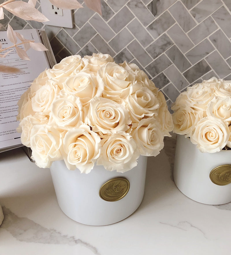 Infinity Charlotte Vase (Exclusive to SF)