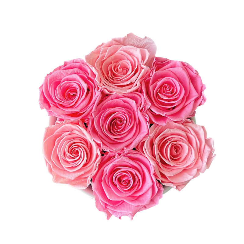 September Cherie Vase Special