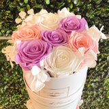 Infinity Classic Round *20+ colors