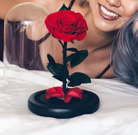 Infinity Deluxe Belle April Special (5+ colors)