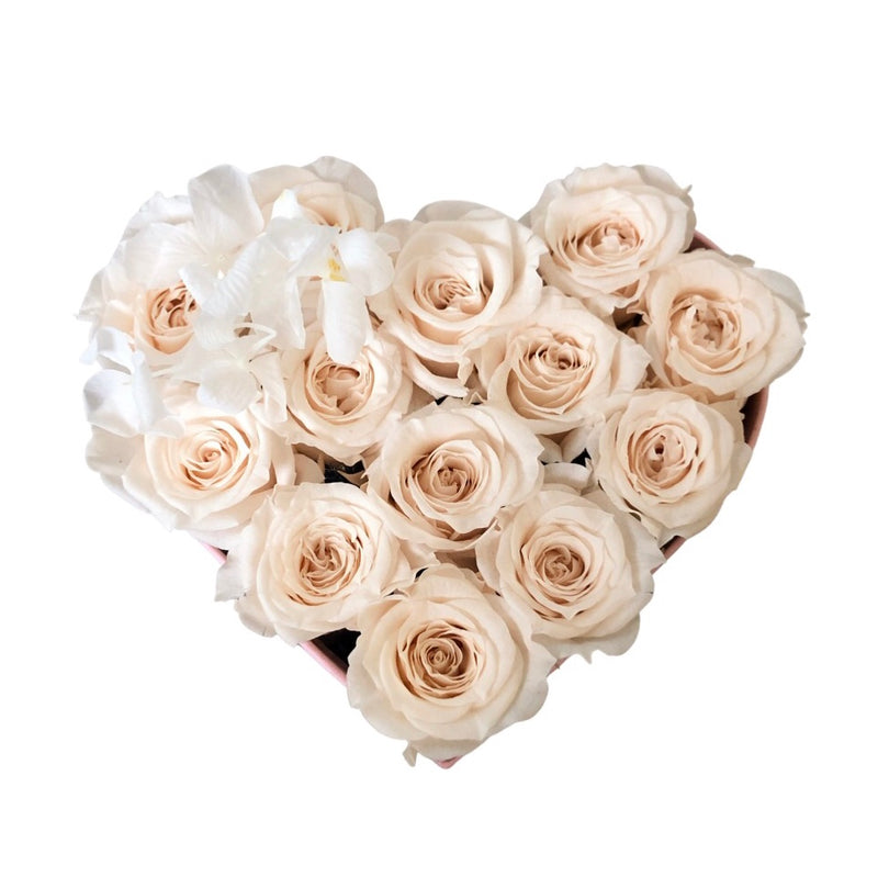 Infinity Mini Heart Special (10+ COLORS)
