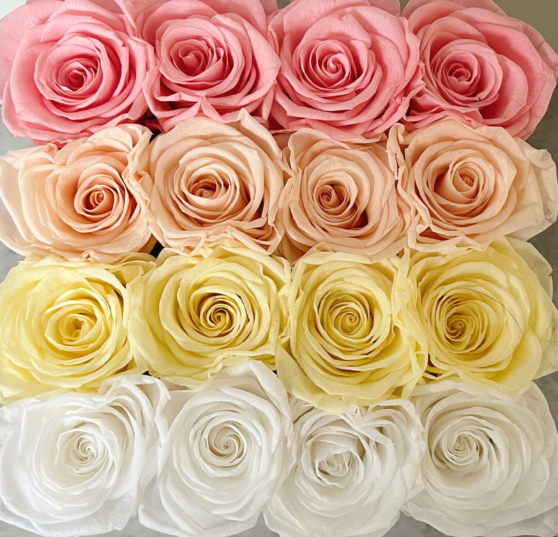 Ombré Signature Square Special