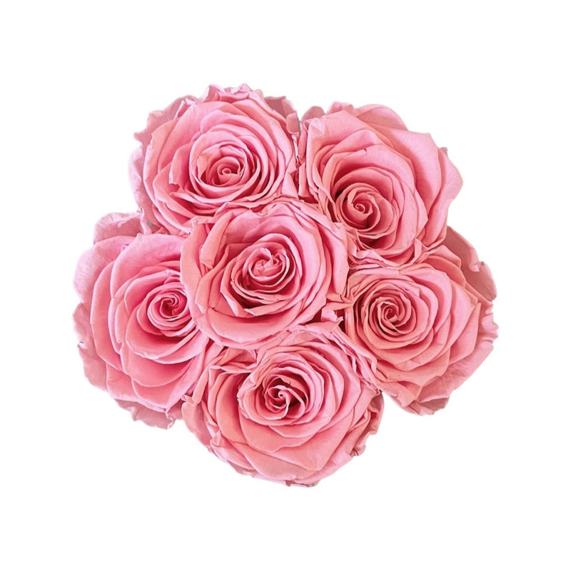 Infinity Deluxe Round  *10+ COLORS