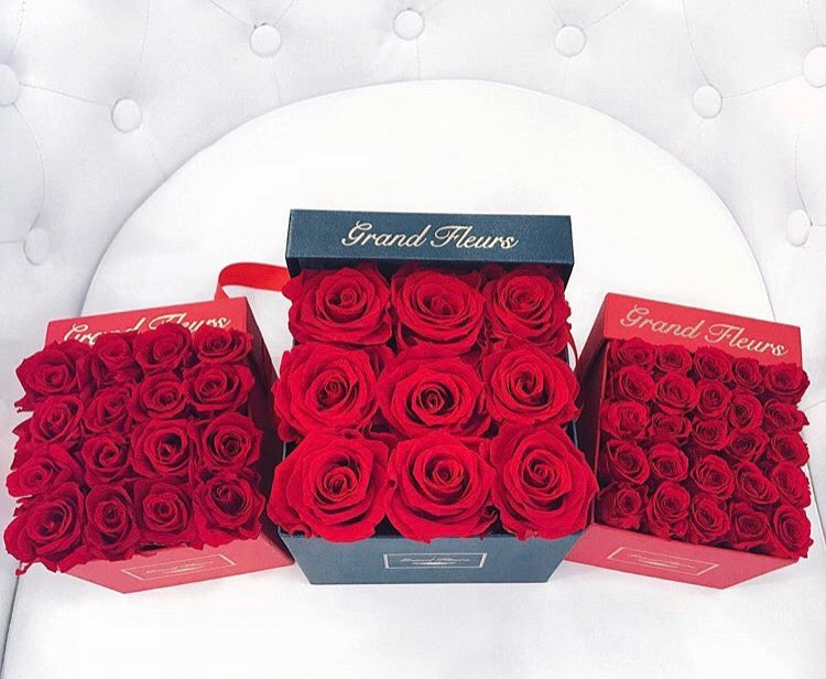 Infinity Cloud 9 – Grand Fleurs