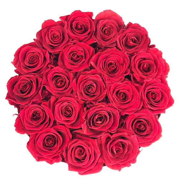 Red Luxe Round Special