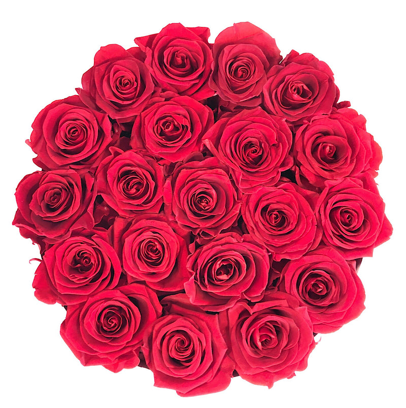 Red Luxe Round Special